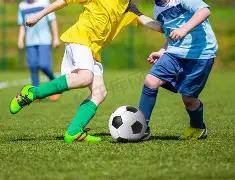 日本奥运备,战营地关闭,顶尖选手训,爱游戏平台,爱游戏官方网站,爱游戏登录入口,爱游戏app下载