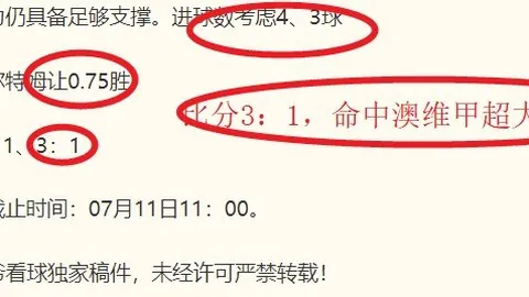 推荐 巴西甲赛事前瞻爱游戏娱乐：维多利亚帕梅拉斯周三006独家解析